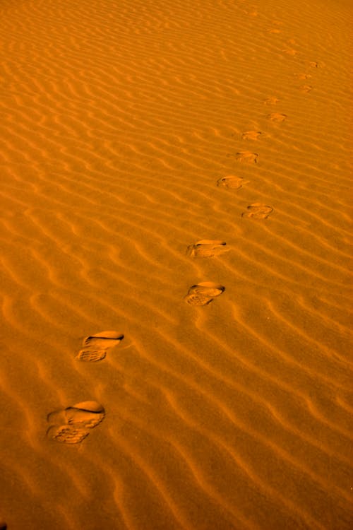 Foot Prints on Brown Sand