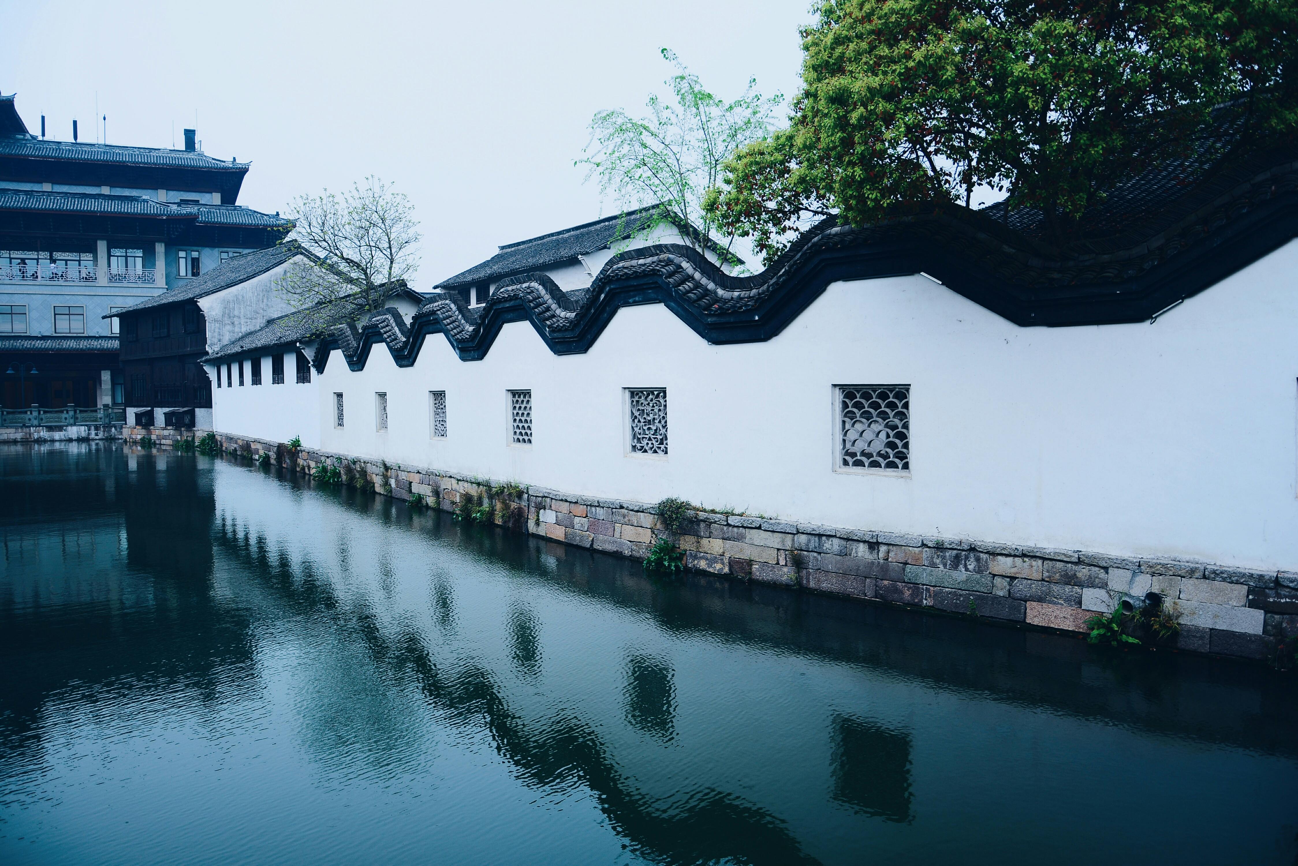 white concrete houses near body of water