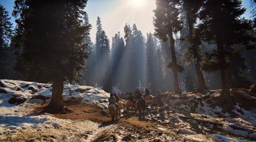 Free A group enjoys horseback riding through a snowy forest in J&K, under sunlight streaming through tall trees. Stock Photo