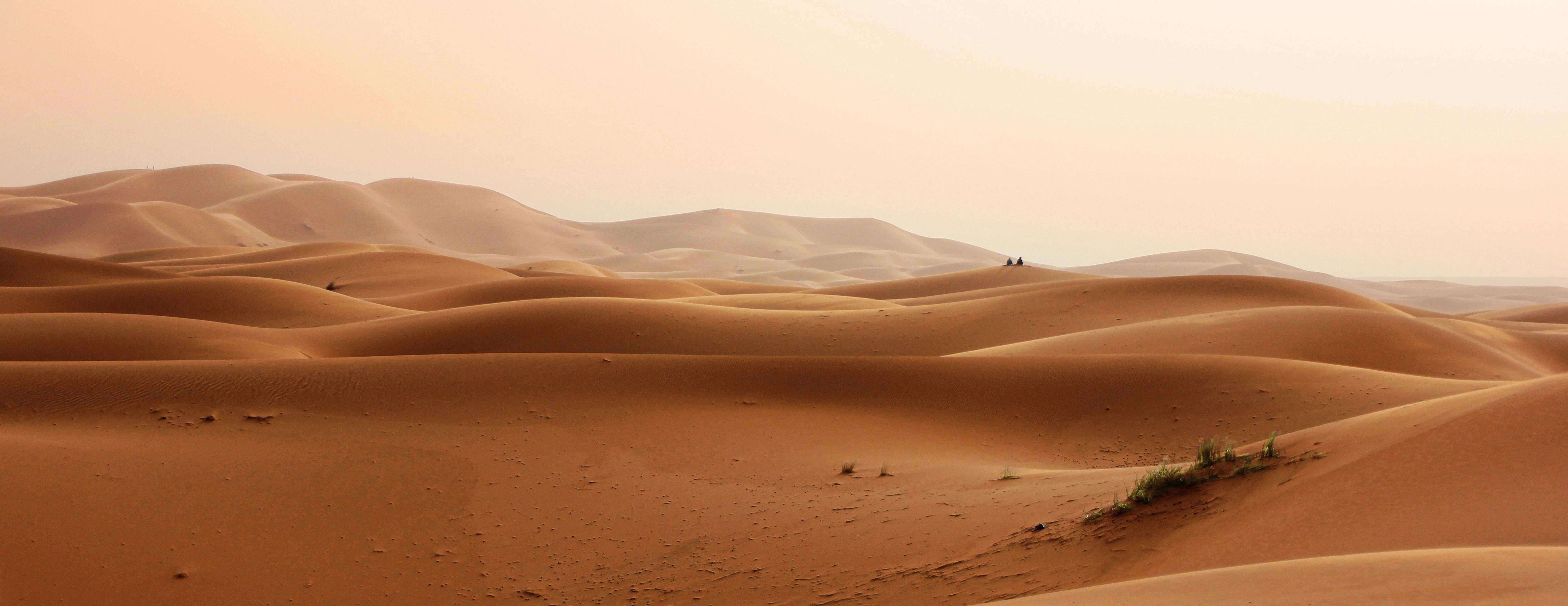 sand dune desert