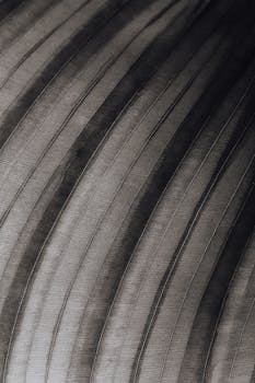 Detailed grayscale close-up of a leaf showing natural texture and patterns.