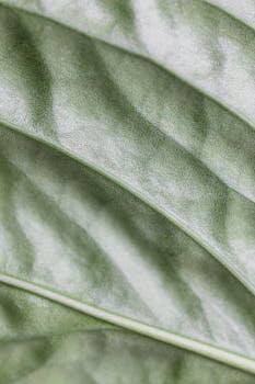 Macro shot of a green leaf showcasing intricate textures and patterns.