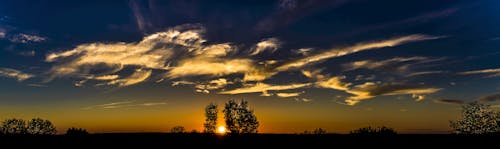 Kostenloses Stock Foto zu abendhimmel, bäume, himmel