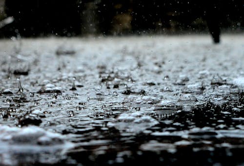 Free Rain Drops Stock Photo