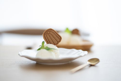 Homemade White Ice Cream on White Ceramic Plate