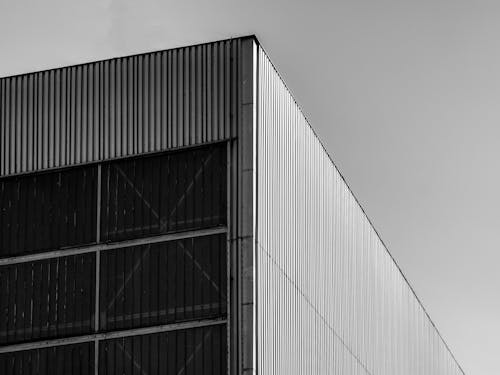 Grayscale Photo of a Building