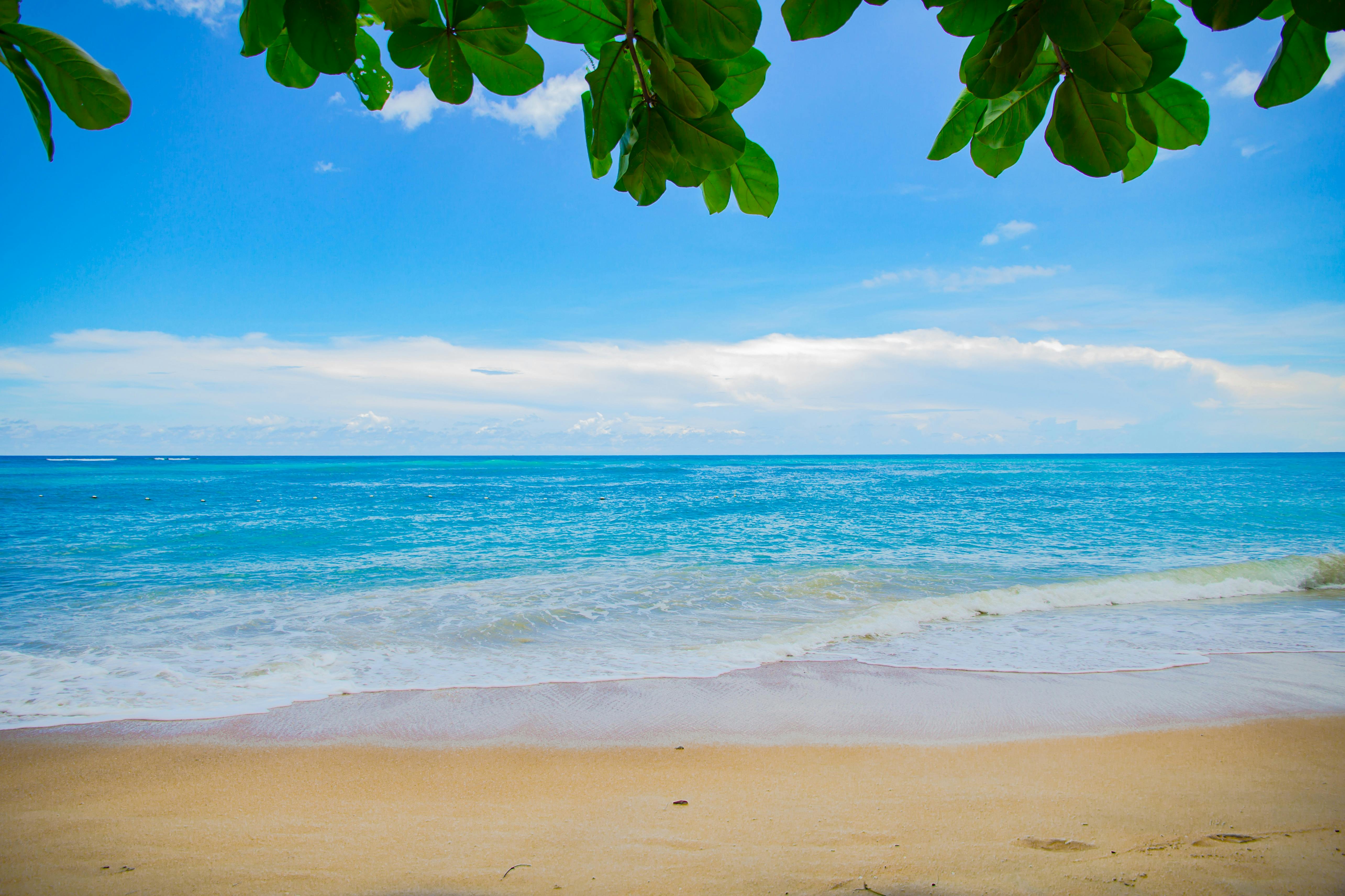  Ocean  Beach  Pictures Free The best beaches  in the world