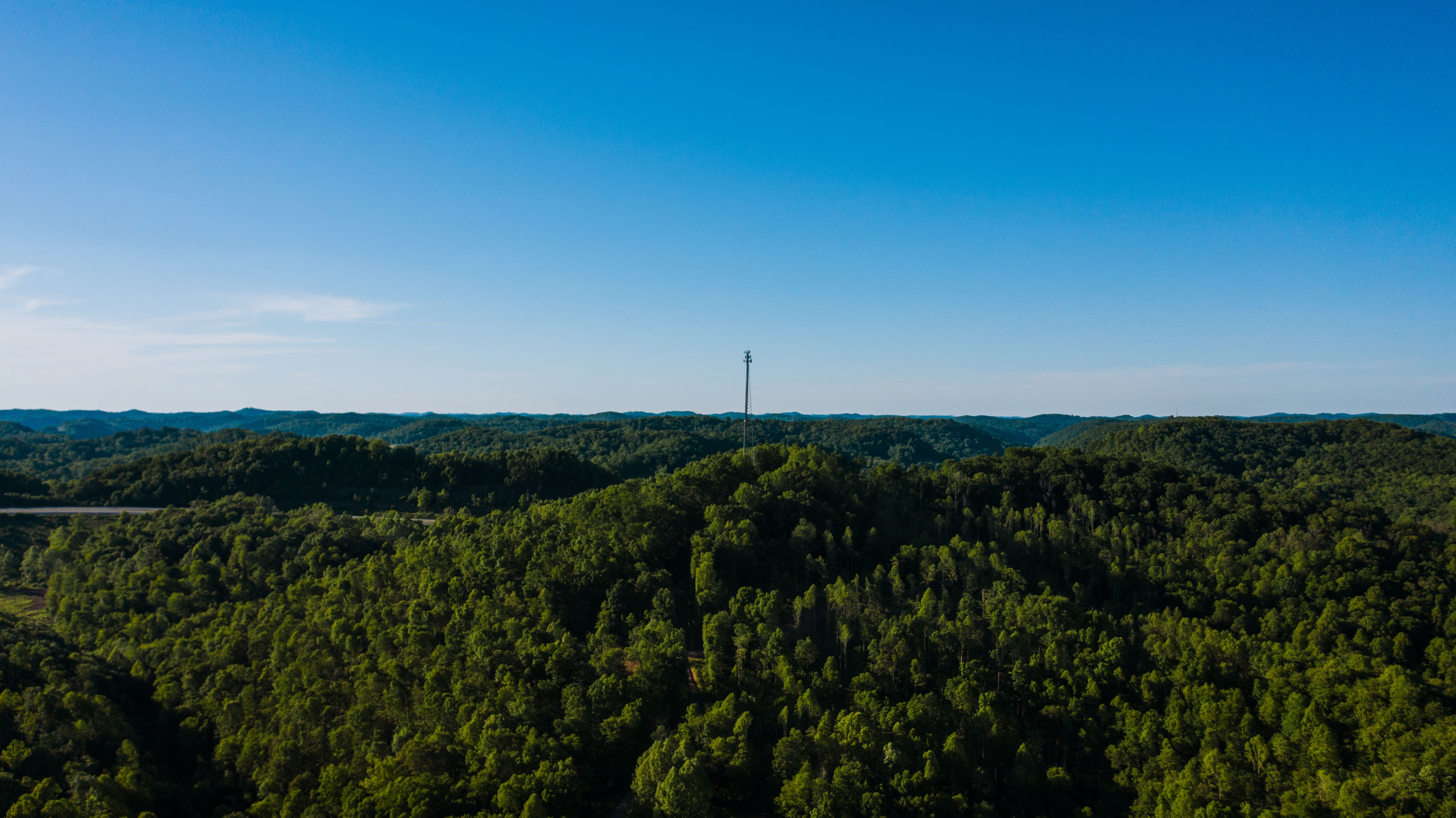 Picturesque scenery of green lush trees growing on hill under cloudless blue sky