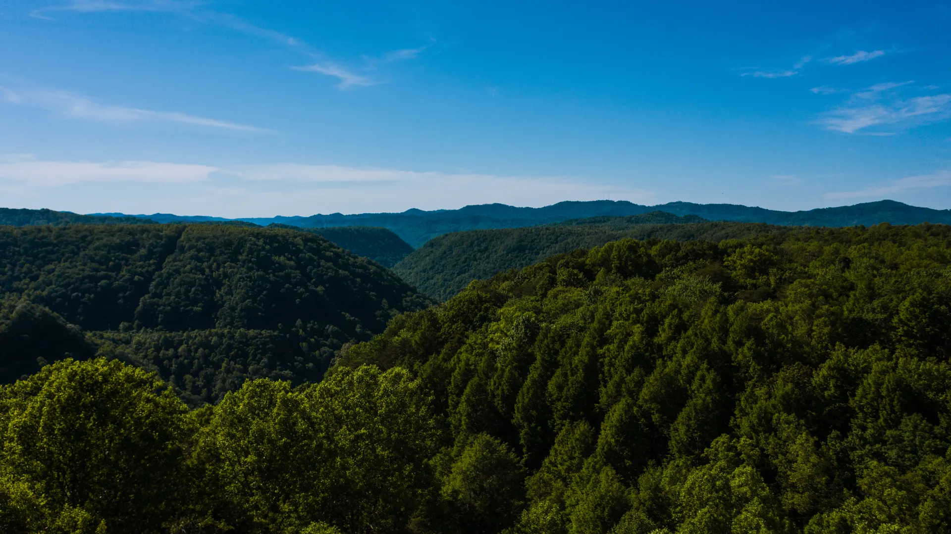 Pinnacle Mountain Hiking Guide: Trails, Views, and the Best Routes Near Little Rock