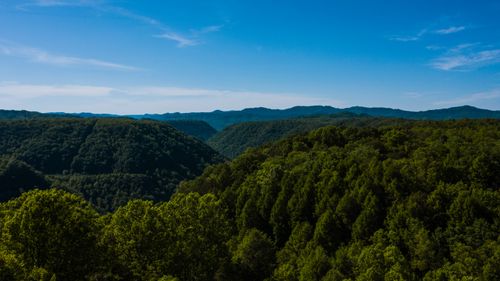 Free Picturesque mountains covered with green lush vegetation under blue sky on sunny day Stock Photo