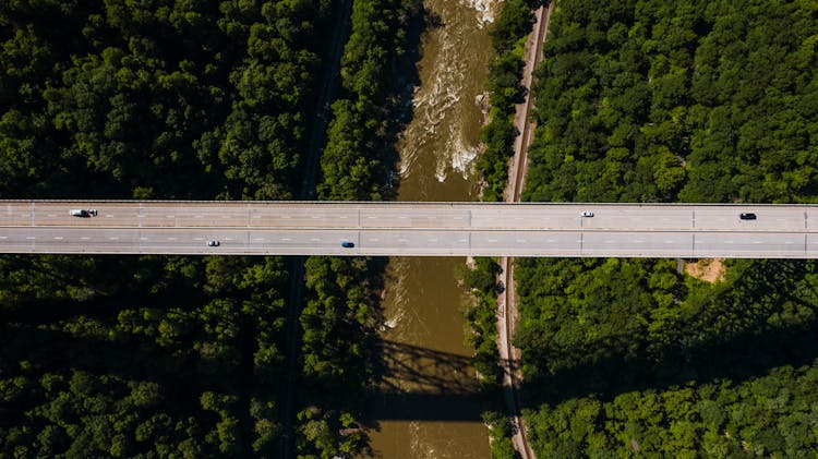 Suspension Bridge Over Wild River Among Forest