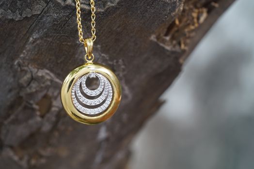 Shiny golden pendant on chain hanging on tree
