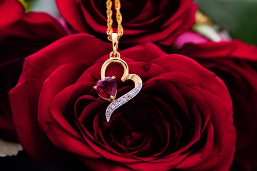Free Heart shaped necklace on red roses Stock Photo