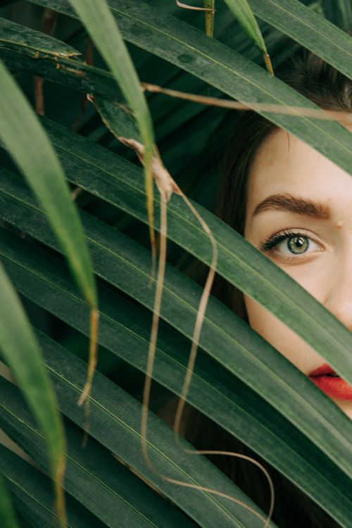 Free A woman's eye and red lips peek through lush green leaves, creating a mysterious and natural portrait. Stock Photo