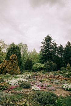 A serene garden landscape with vibrant flowers and towering trees under a cloudy sky.
