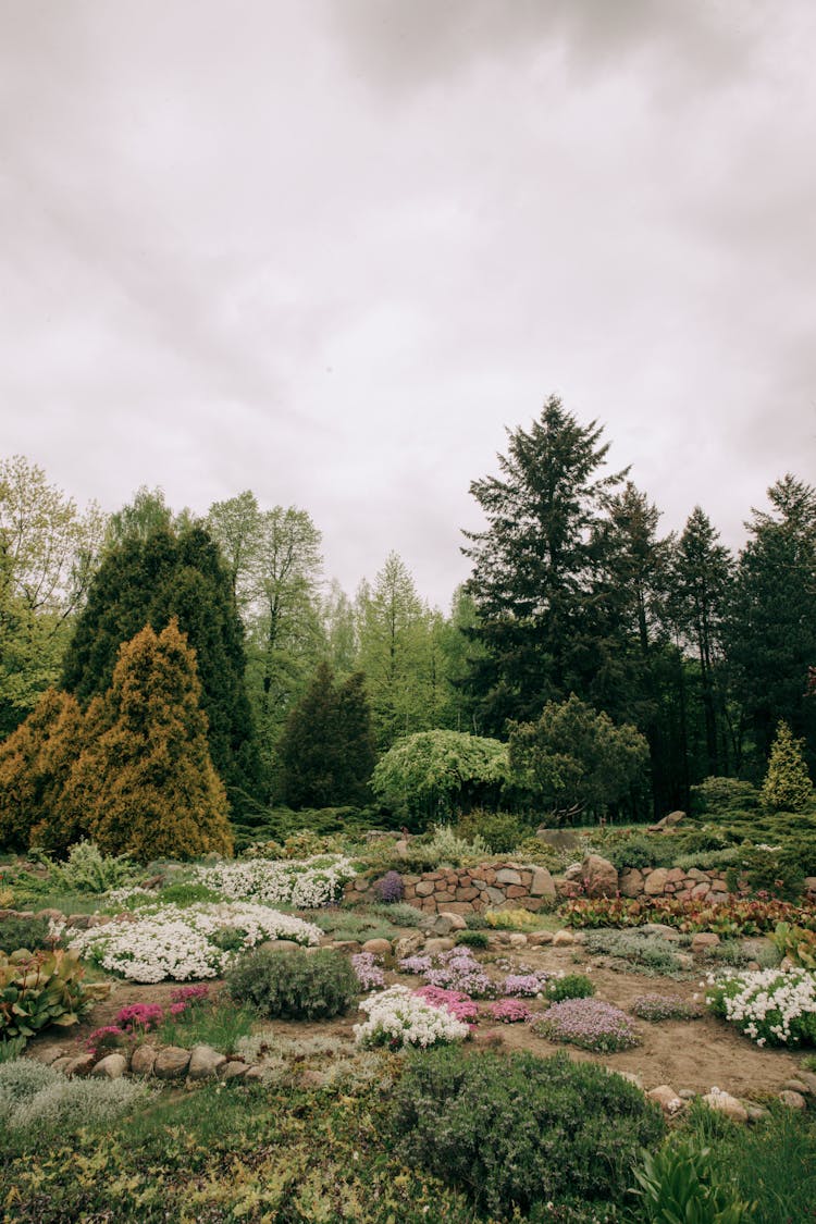 Green Trees And Rocks In The Garden