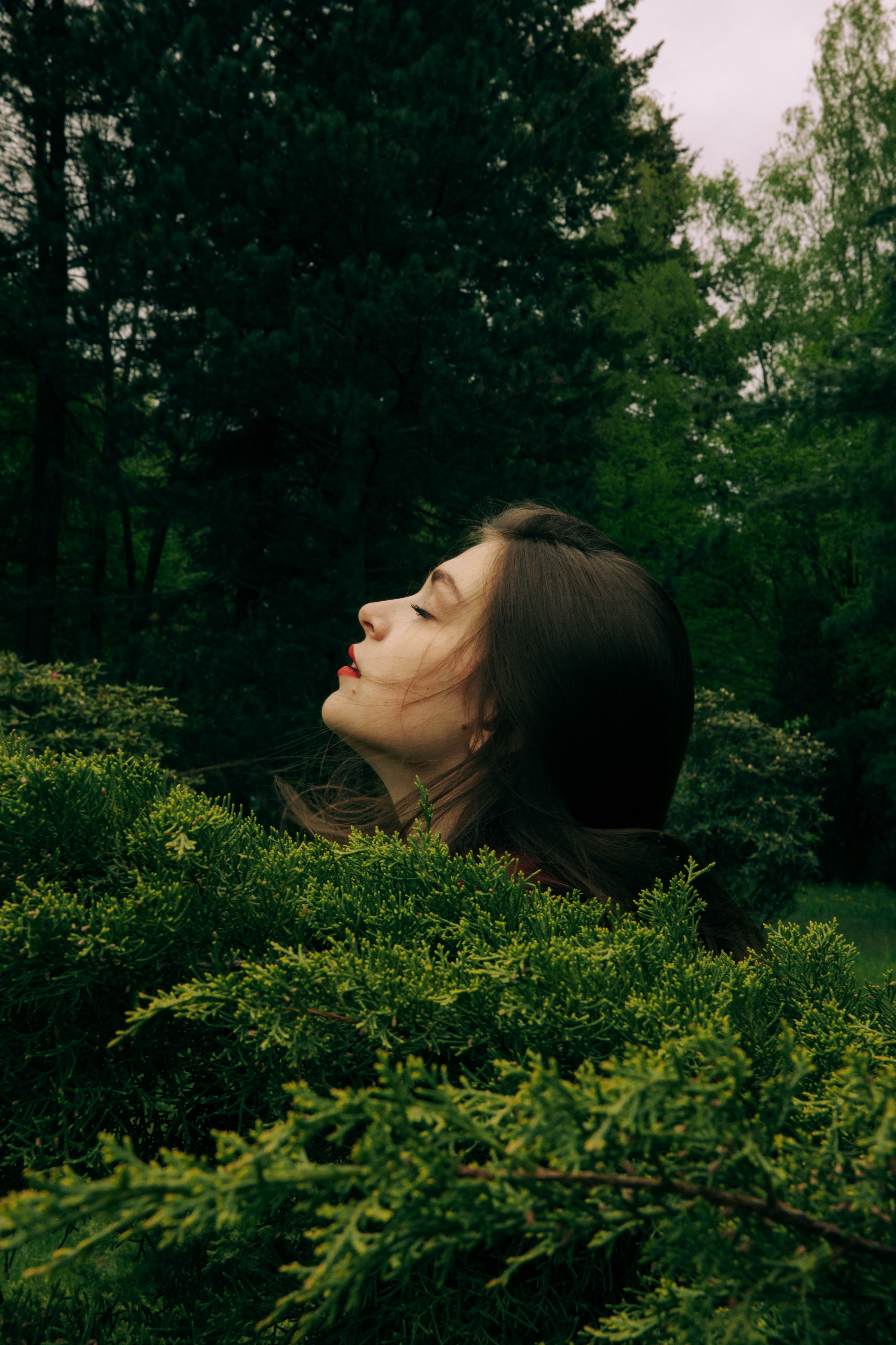 森林中，一名闭着眼睛的女子侧影被郁郁葱葱的绿叶环绕