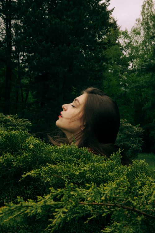 Free Profile of a woman with eyes closed surrounded by lush green foliage in a forest. Stock Photo