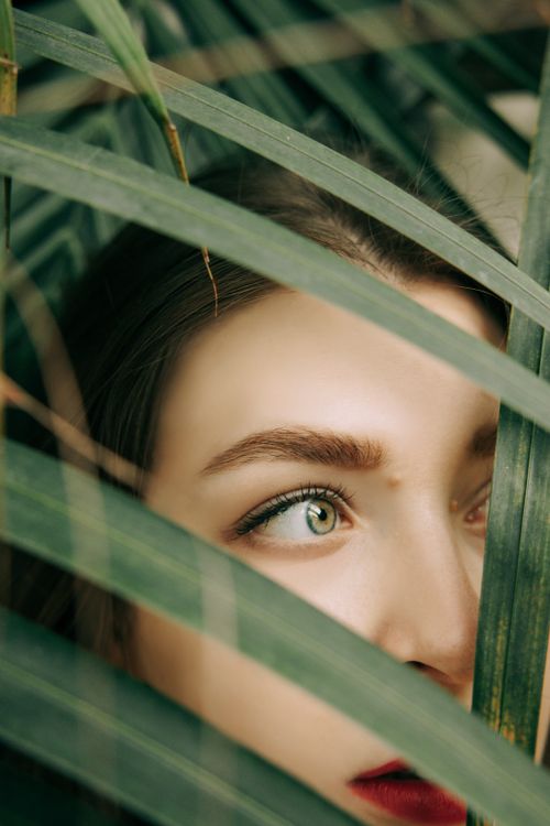 Free A close-up portrait of a woman's eye peeking through green leaves, capturing mystery and curiosity. Stock Photo