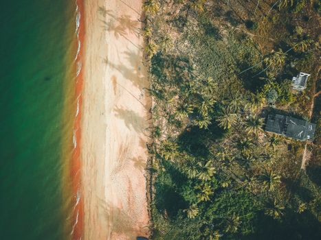 Drone view of light beige sandy beach of vibrant green wavy ocean next to cottage surrounded by grass and palms