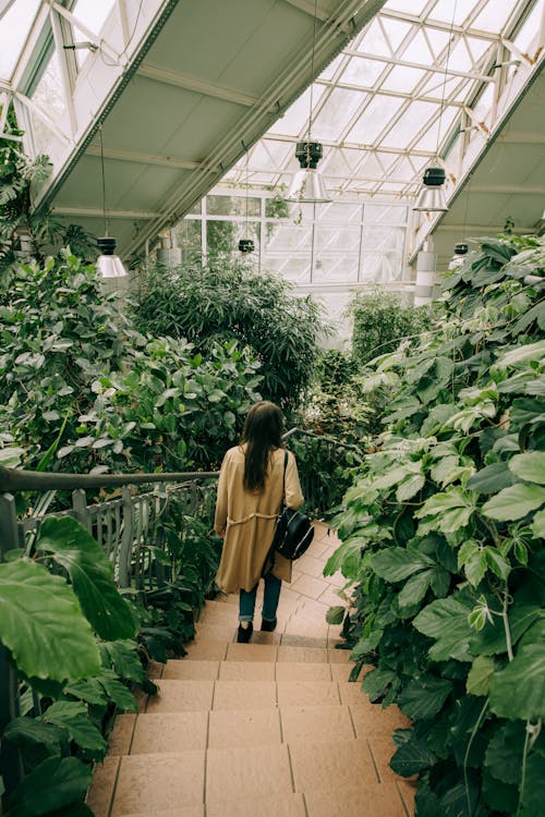 Fotobanka s bezplatnými fotkami na tému botanická záhrada, bruneta, cestovný ruch