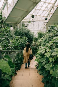 一名妇女走过郁郁葱葱的温室，里面长满了各种绿色植物和树叶