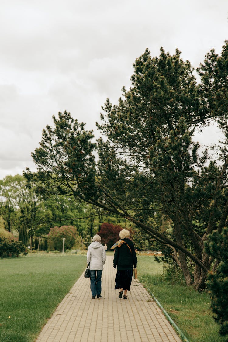 Two Elderly Ladies On A Walk