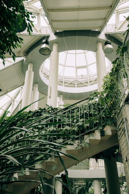 A lush indoor greenhouse featuring a spiral staircase and abundant greenery, under a glass ceiling.