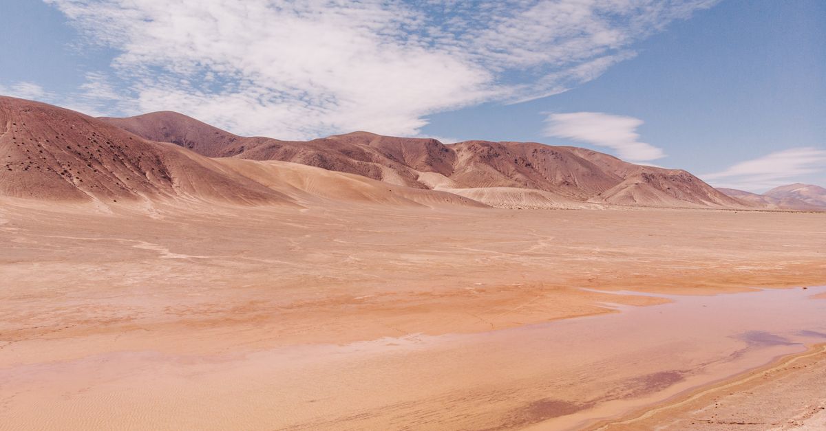 Los 8 desiertos y ambientes extremos que desafían la esterilidad natural con vida Los 8 desiertos y ambientes extremos que desafían la esterilidad natural con vida