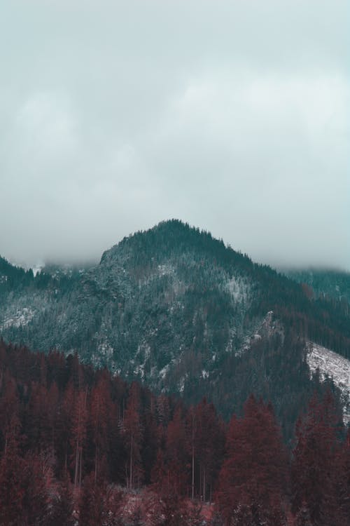 Kostnadsfri bild av äventyr, bergen, dimmig dag