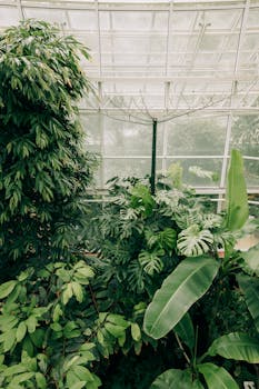 

Plants in a Greenhouse with the Quote "Life is about timing." written on it and have average color value #687960