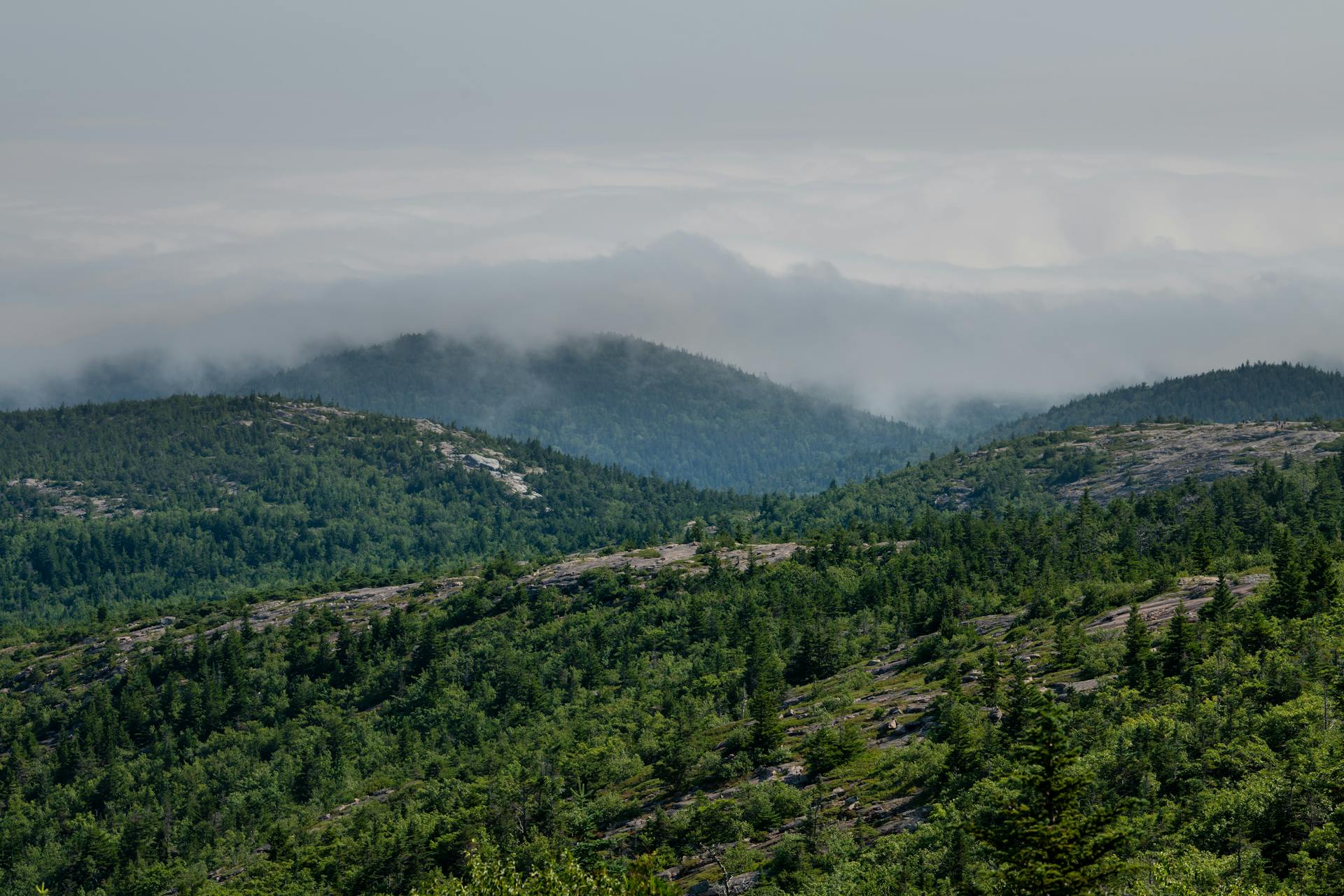 A misty mountain range covered in lush green forests with fog rolling over the peaks.