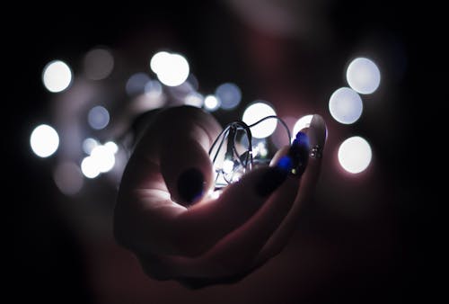 Free Close Up Photography of Person Holding White String Lights Stock Photo