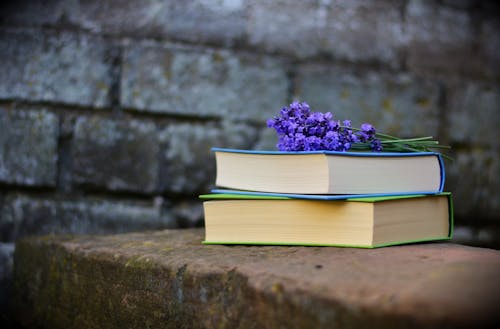 Purple Petaled Flower on Book \