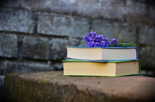 Purple Petaled Flower on Book 