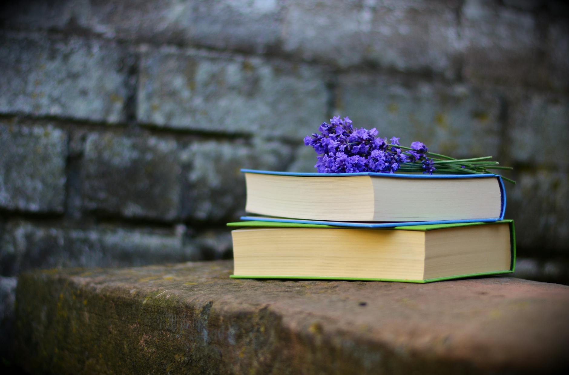 purple flower at the top of two books on a bench