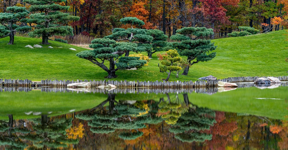 Old narrow bridge near colorful grass meadow with trees reflecting in pure water in fall