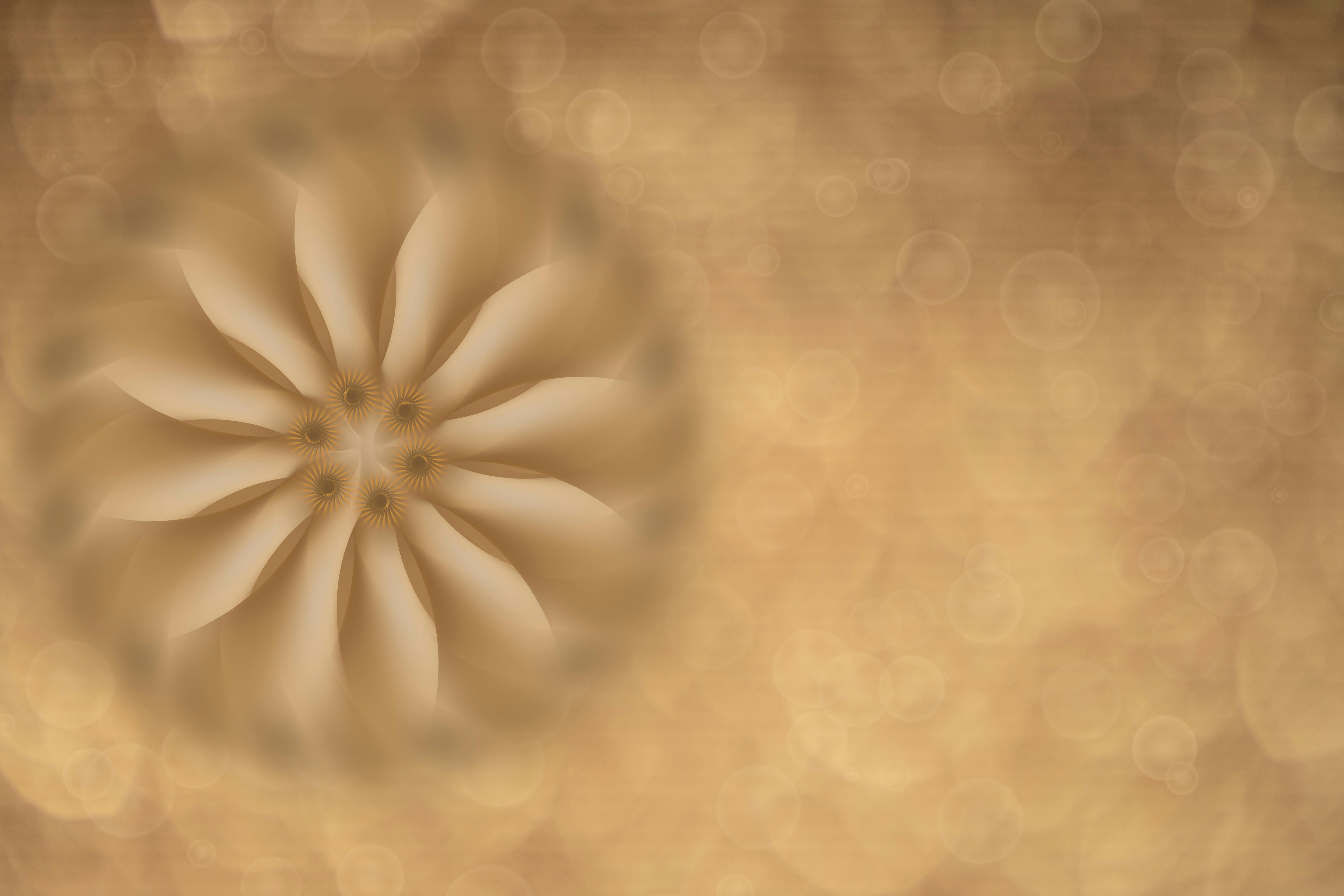 Golfer interacting with young fans at a tournament rope line