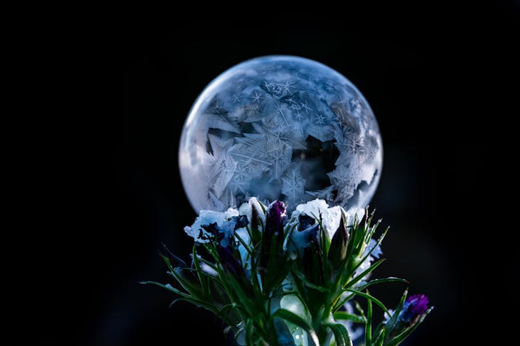 Decorative Shiny Ball Near Blooming Flowers On Black Background