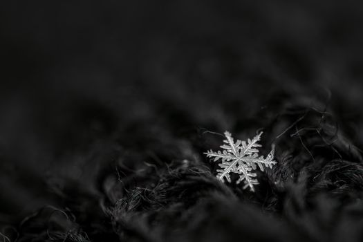 From above black and white of decorative snowflake with pointed edges between thin tangled threads at night