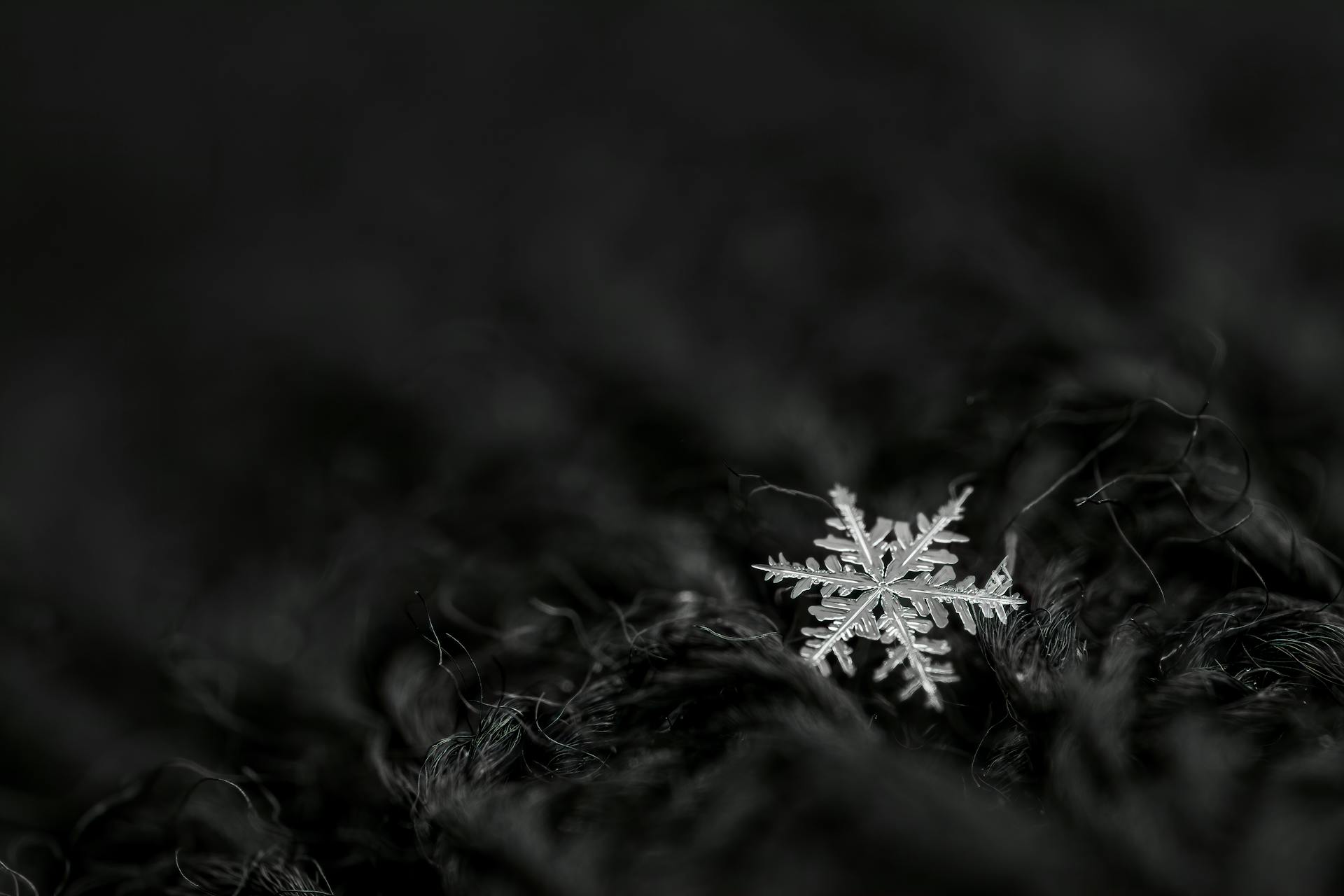 From above black and white of decorative snowflake with pointed edges between thin tangled threads at night