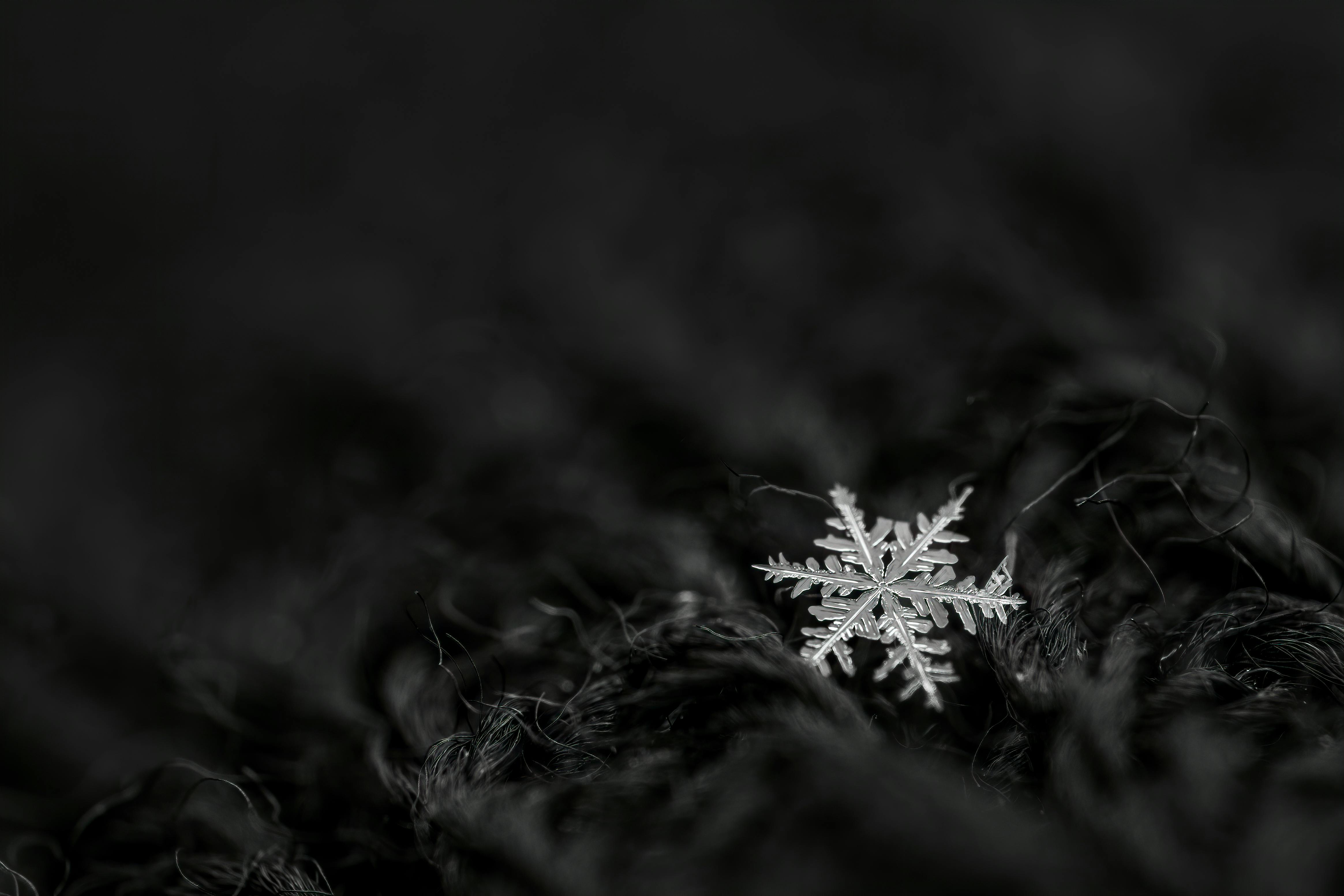 black and white snowflake wallpaper