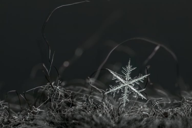 Ornamental Snowflake In Abstract Threads At Dusk