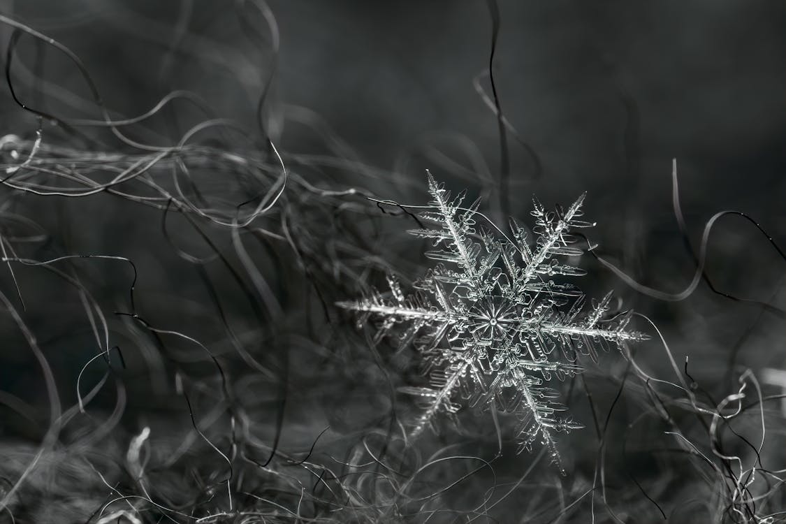 Fotobanka s bezplatnými fotkami na tému chaotický, dekor, dekorácia