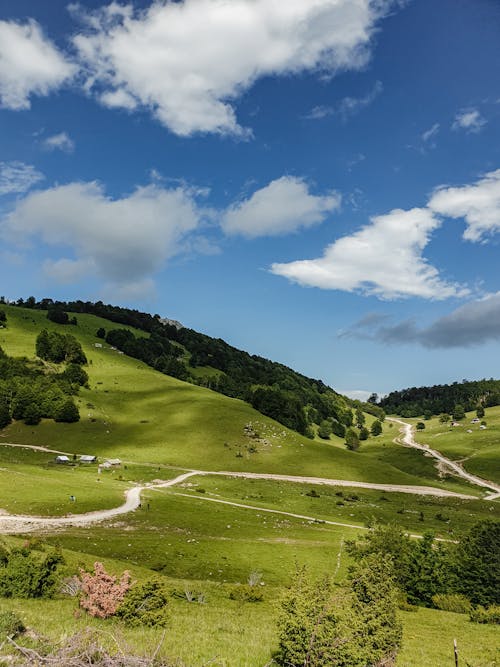 Green meadow on hillside under blue cloudy sky