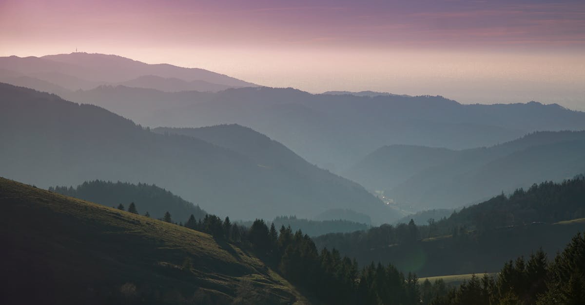 Free stock photo of black forest, forest, hills