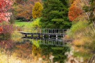 Narrow footbridge crossing calm lake in abundant autumn park