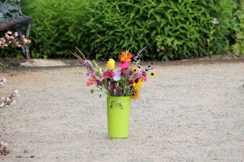 Imagine de stoc gratuită din buchet, flori, găleată