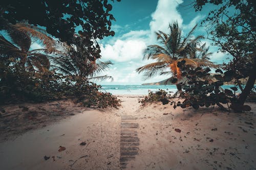 Безкоштовне стокове фото на тему «берег моря, відпустка, вода» стокове фото