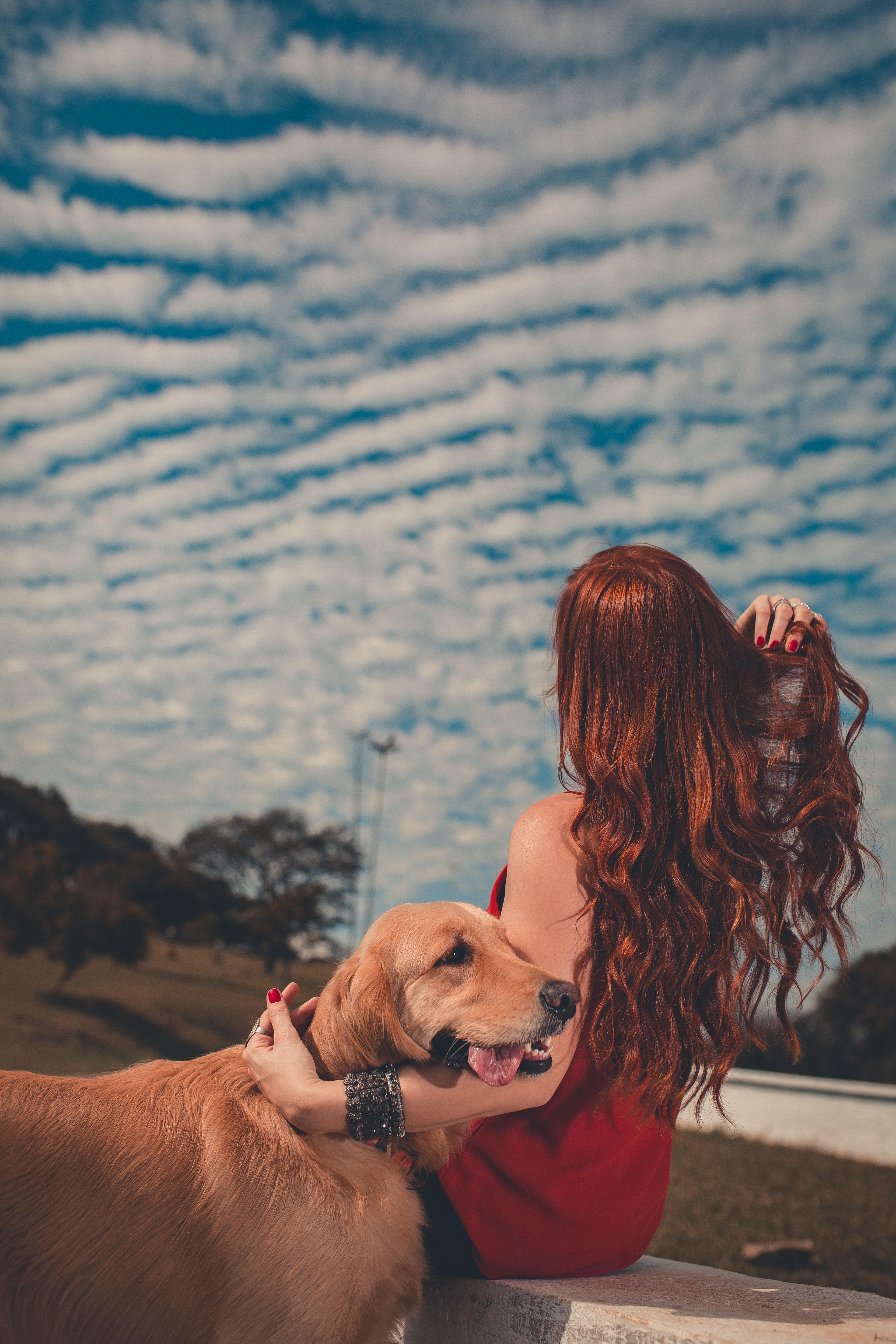 Back view of young female touching long dark wavy hair and embracing golden retriever while resting on curb under unusual Altocumulus clouds